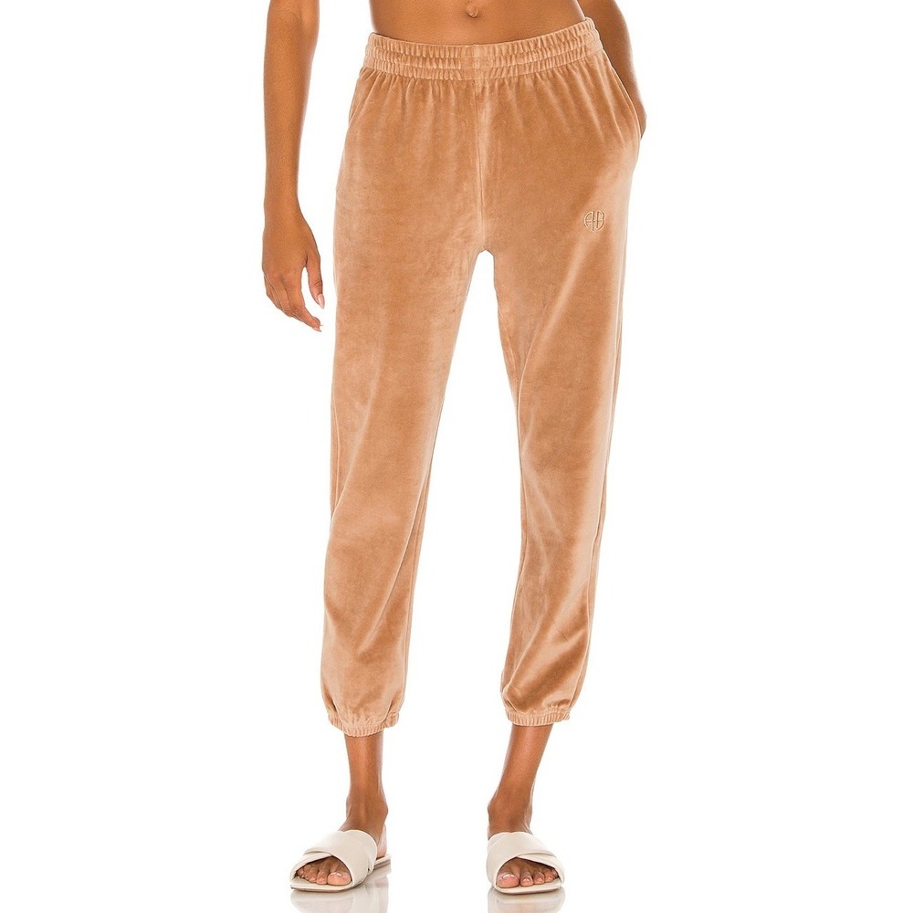 Anine Bing Evan Jogger Minimalist Taupe 90s Streetwear Velour Sporty Luxe Lounge